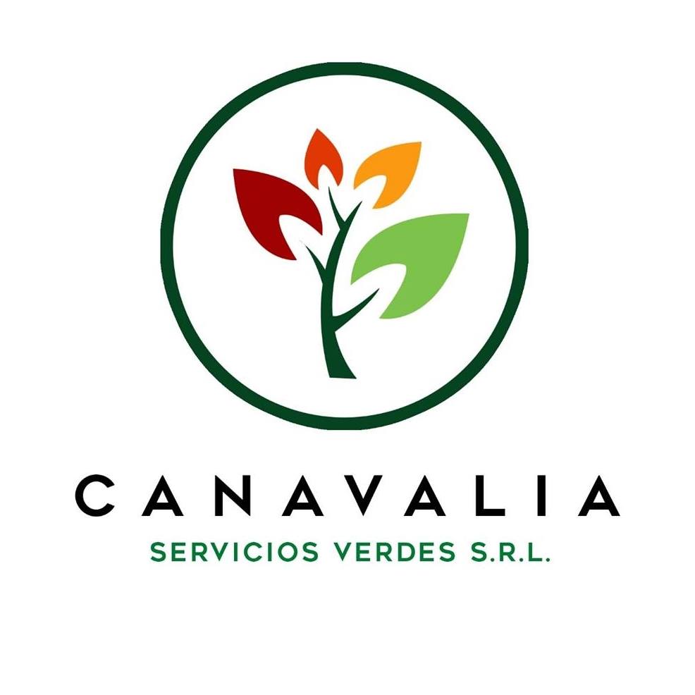 Canavalia